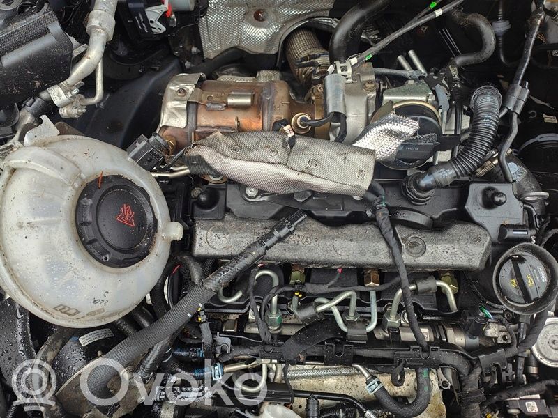 Motor   DCYA