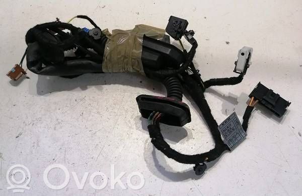Cableado de puerta delantera   13318810,6923724,11D48502,9E87