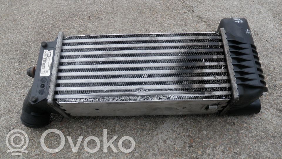 Peugeot 607 Intercooler radiator 