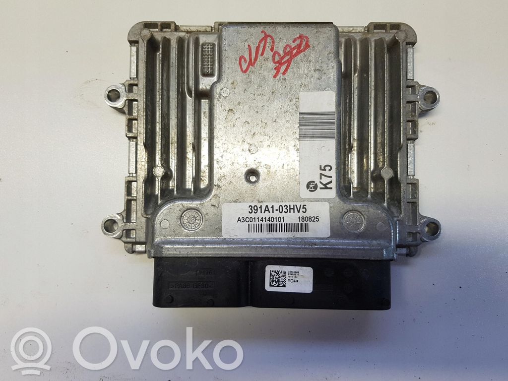 Hyundai Ioniq Other control units/modules 