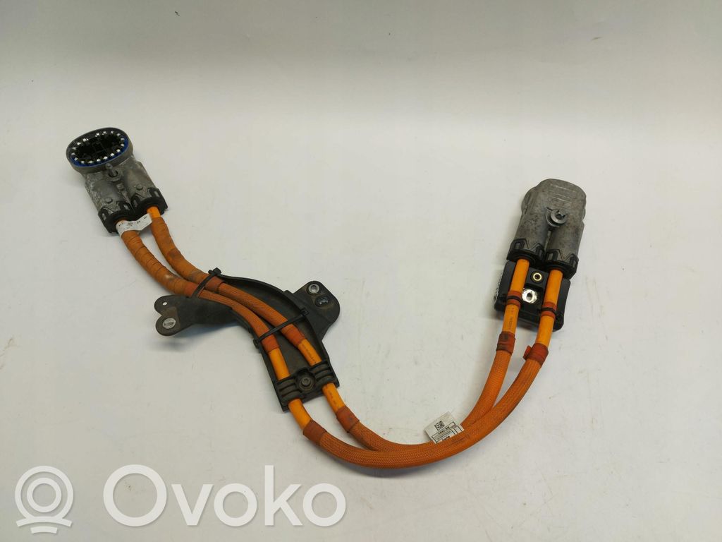 BMW X1 U11 Arnés/cableado de puerta delantera 