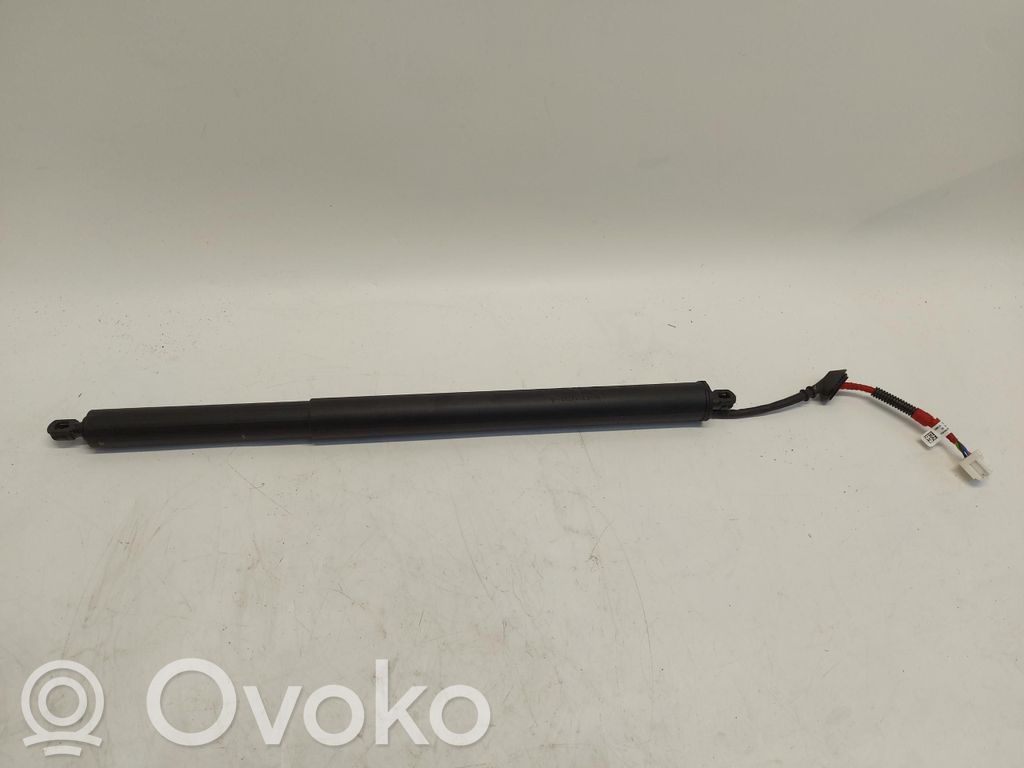 Renault Scenic E-Tech V Tailgate/trunk/boot lift motor 
