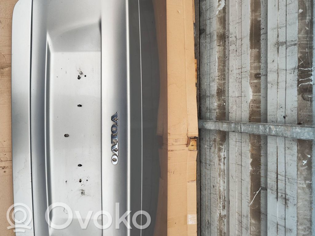 Tailgate/trunk/boot lid