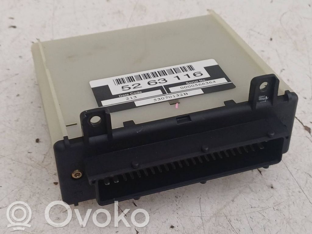 Other control units/modules   5263116,53070132B,5263116