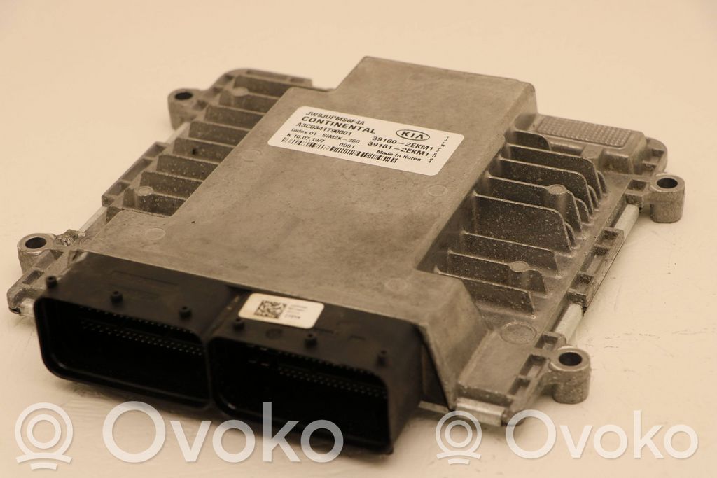 KIA Optima Engine control unit/module 