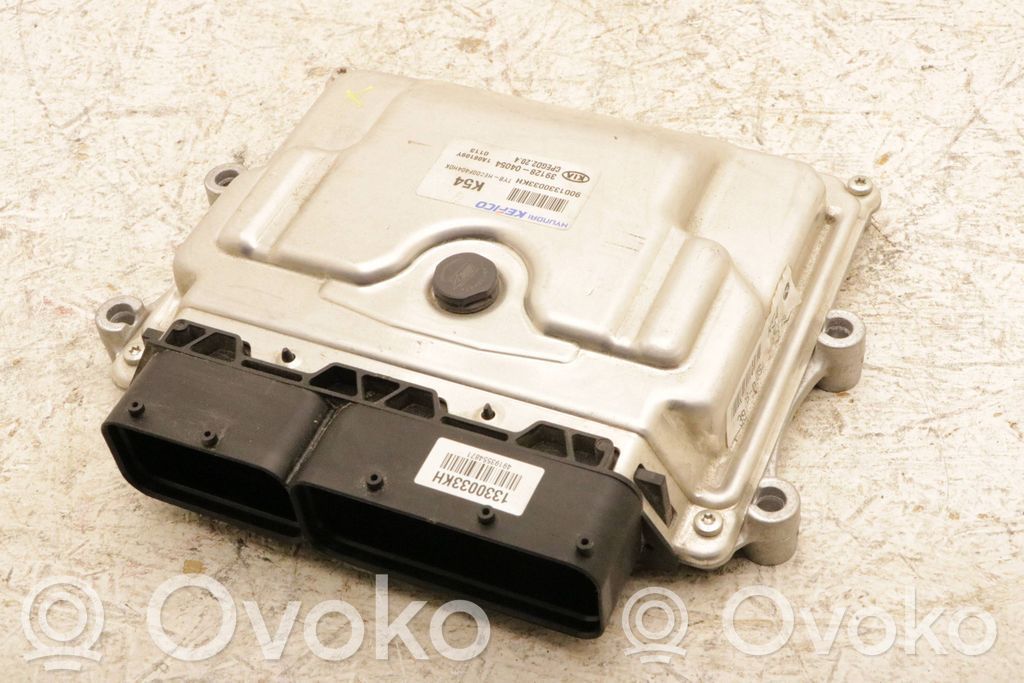KIA Rio Engine control unit/module 