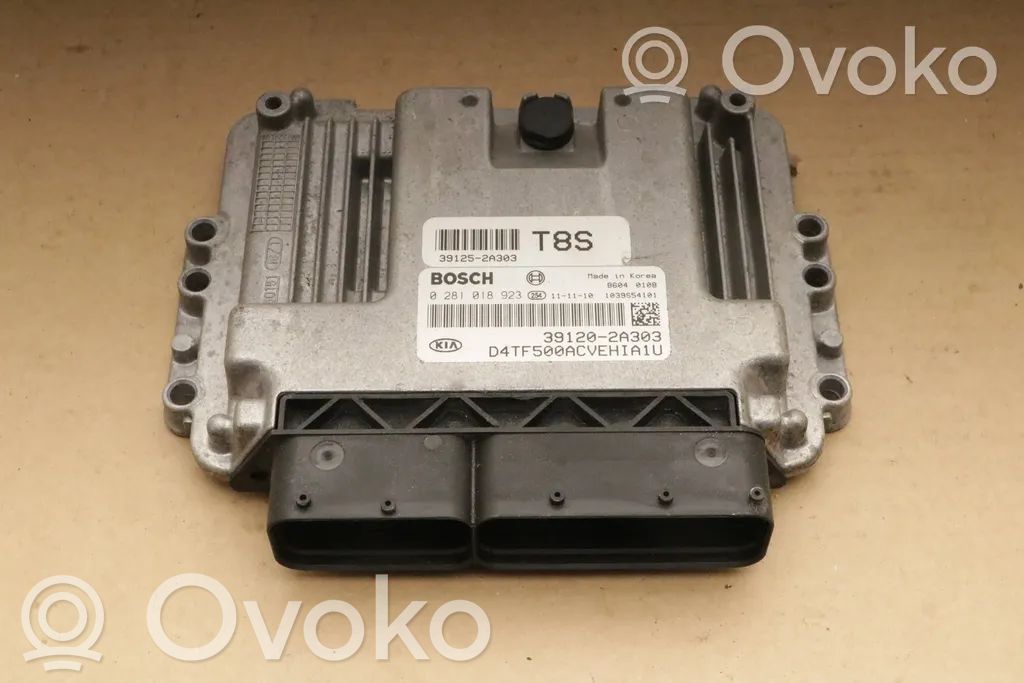 KIA Optima Engine control unit/module 