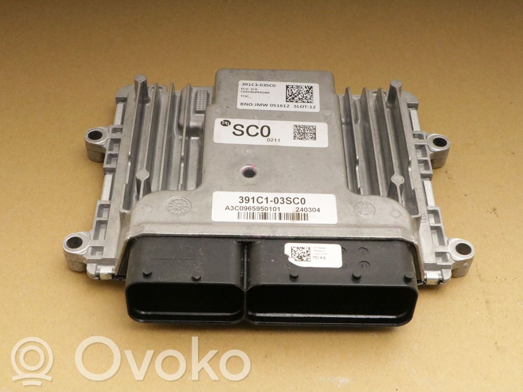Engine control unit/module   391C303SC0,3919803HC0,391C303SC0