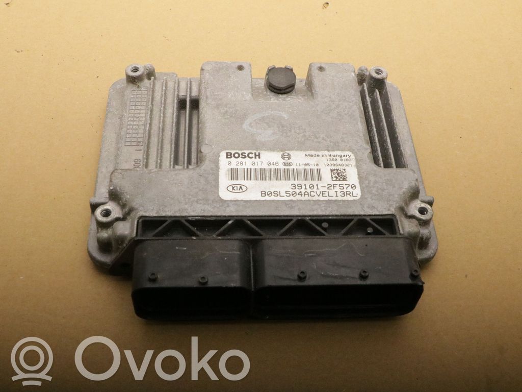 Engine control unit/module   391012F570,391012F570