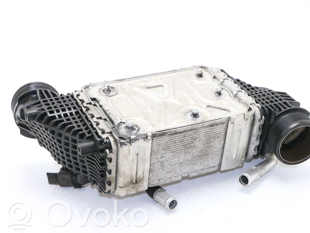 Volkswagen Transporter - Caravelle T6 Radiator intercooler 