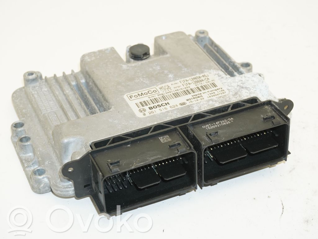 Ford Focus Engine control unit/module 