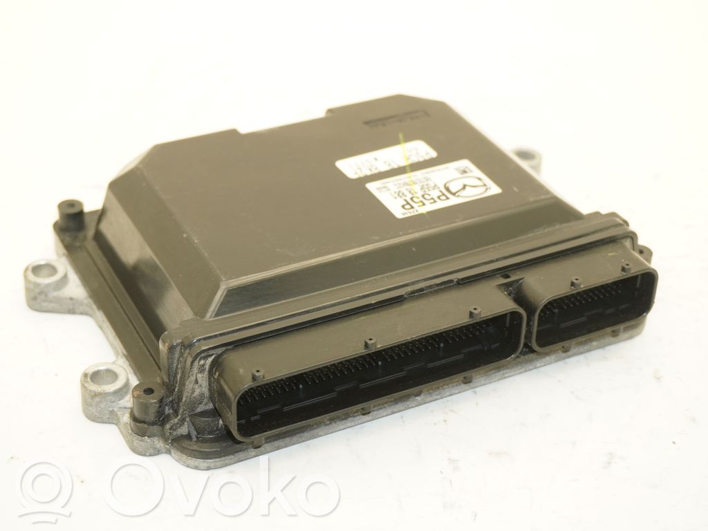 Engine control unit/module   P55P18881,P55P18881