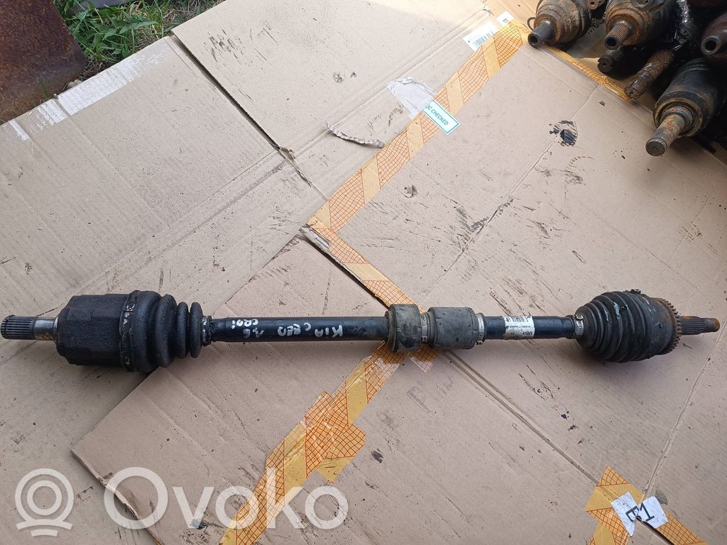 Priekinis pusašis   495001H210