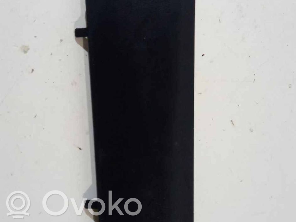 Tesla Model Y Rivestimento montante (A) 