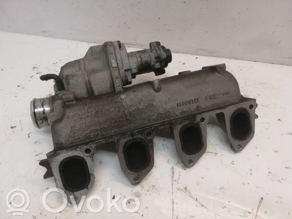 Ford S-MAX Kolektorius įsiurbimo 