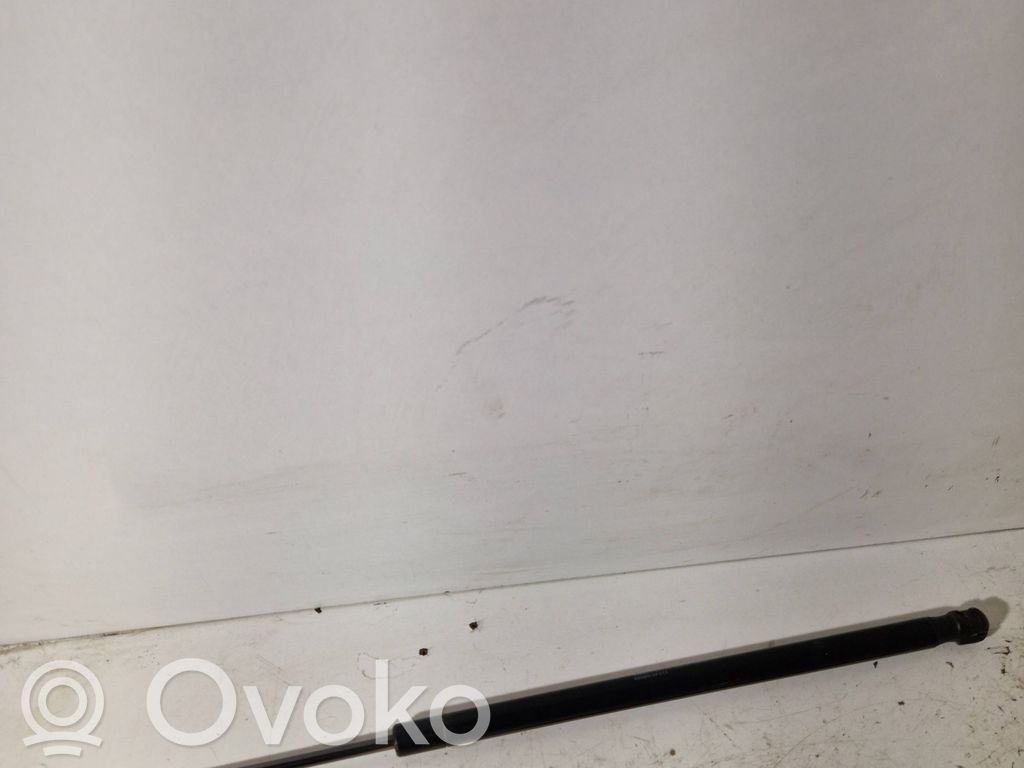Toyota Corolla Verso AR10 Amortizatorius galinio dangčio 