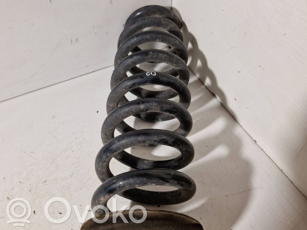 Rear coil spring