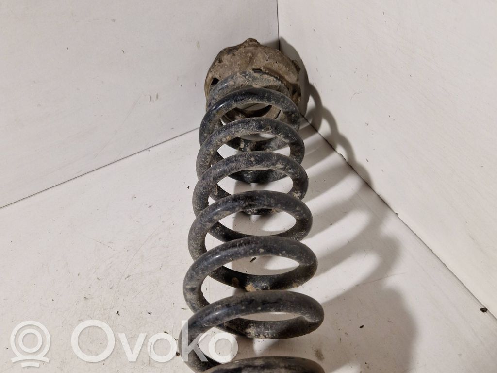 Rear coil spring