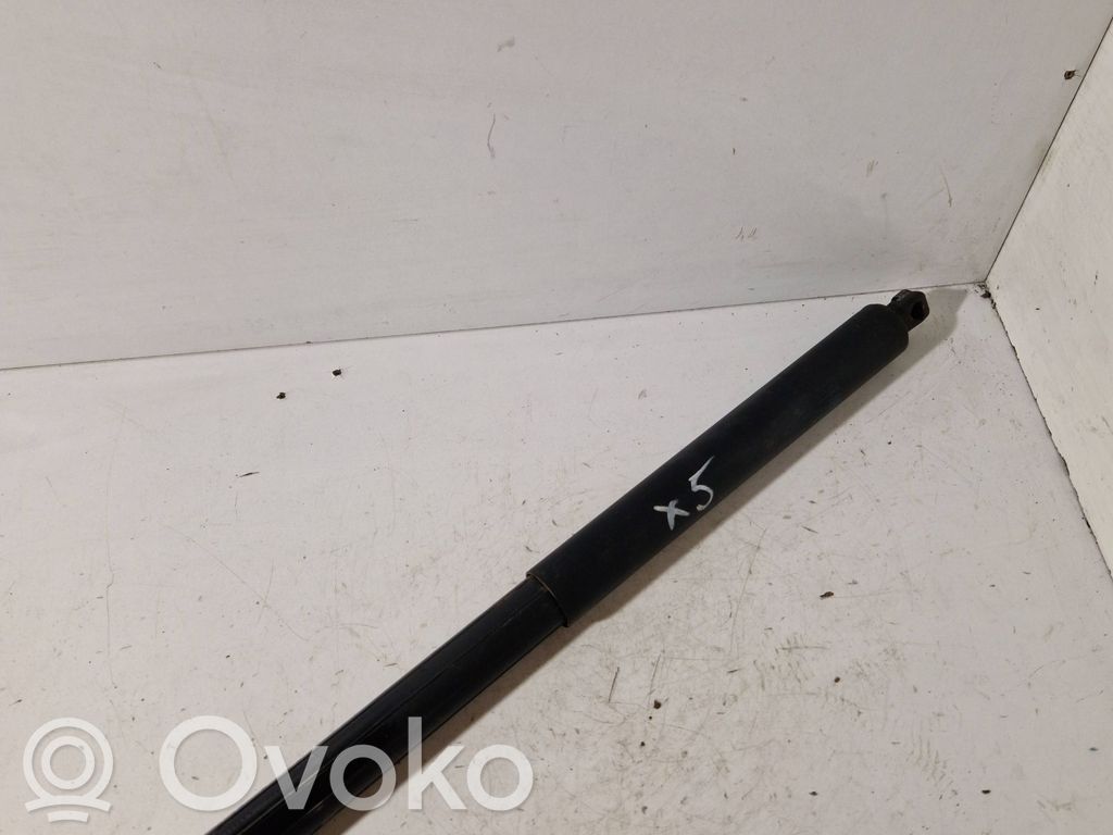 BMW X5 E70 Tailgate/trunk strut/damper 