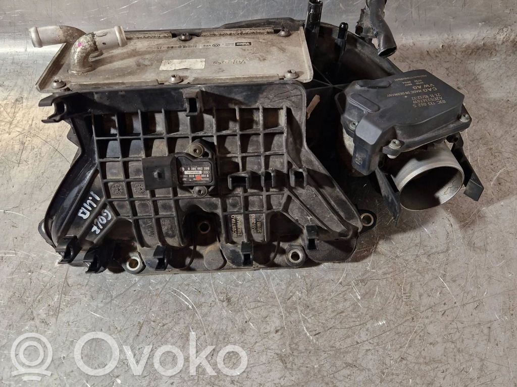 Volkswagen Golf VI Intake manifold 