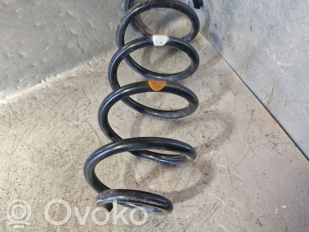 Rear coil spring