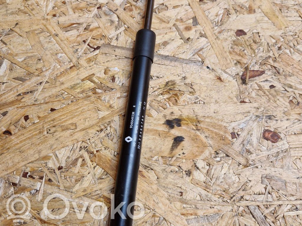 Dacia Spring Tailgate strut 