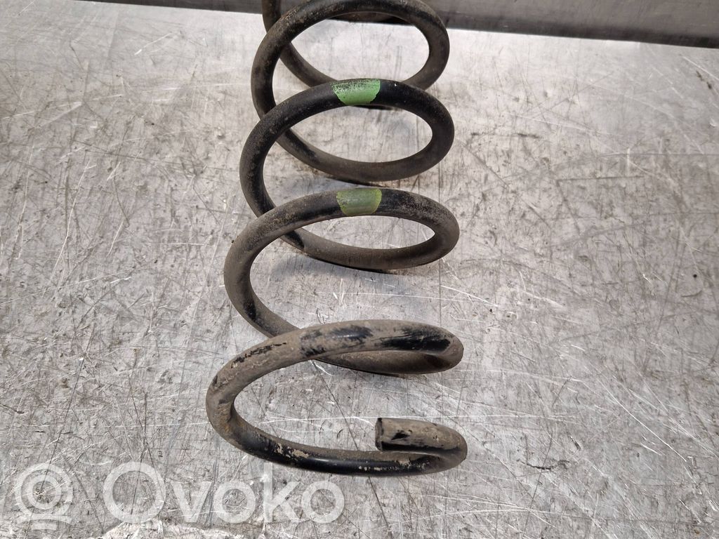 Rear coil spring