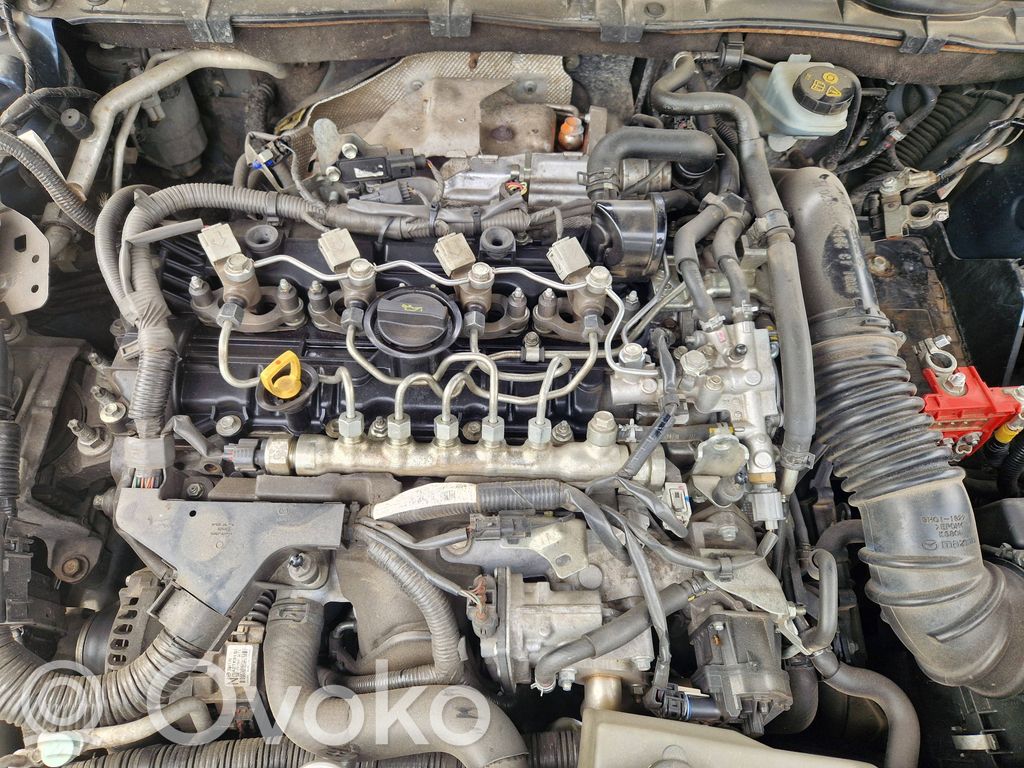 Engine   SHY1