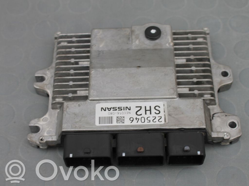 Engine control unit/module   NEC016080