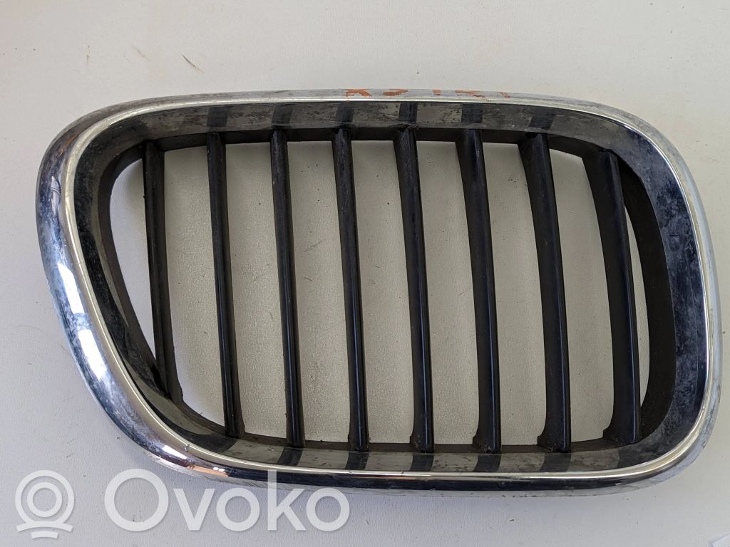 Front grill   51138247674