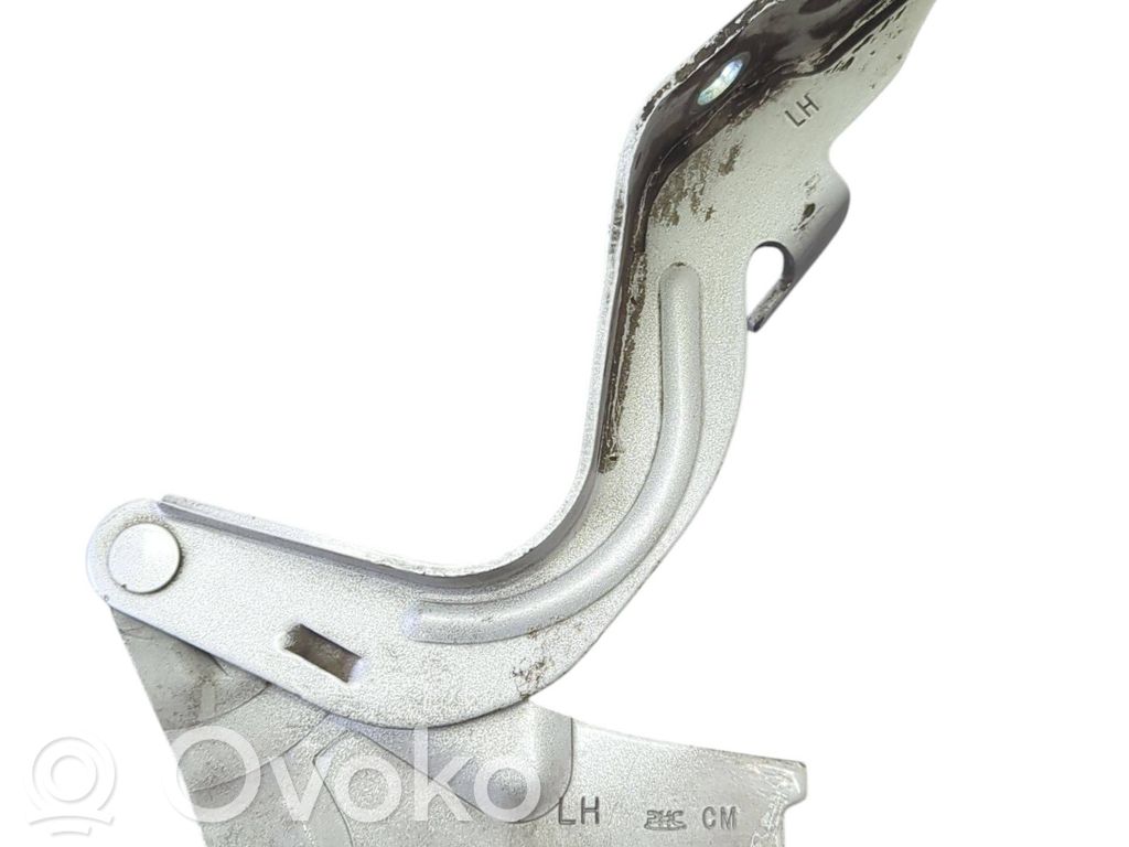 Hyundai Santa Fe Engine bonnet/hood hinges 