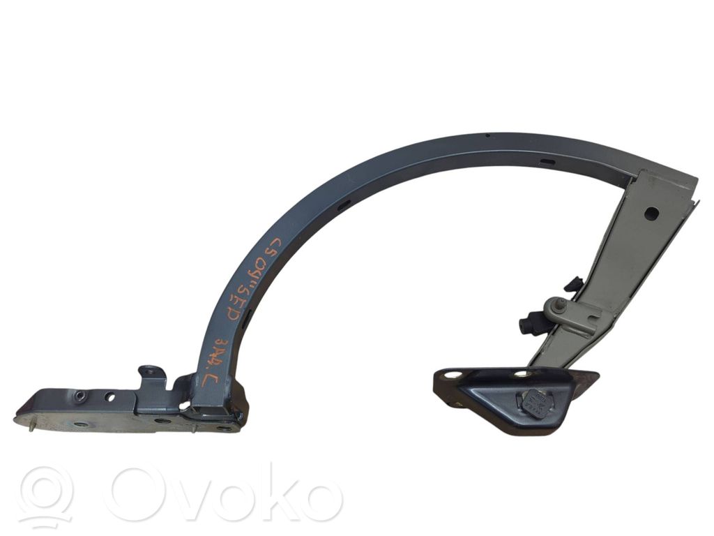Citroen C5 Tailgate hinge 