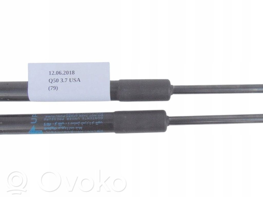 Infiniti Q50 Tailgate strut 
