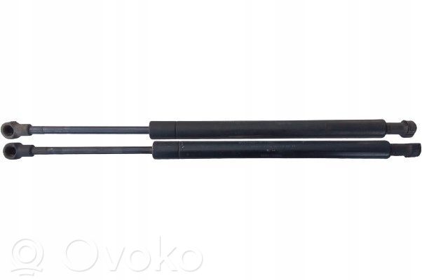 Nissan Murano Z50 Ammortizzatore portellone anteriore/cofano 
