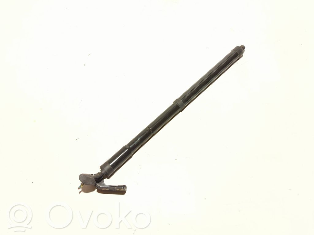 Renault Koleos II Tailgate/trunk strut/damper 