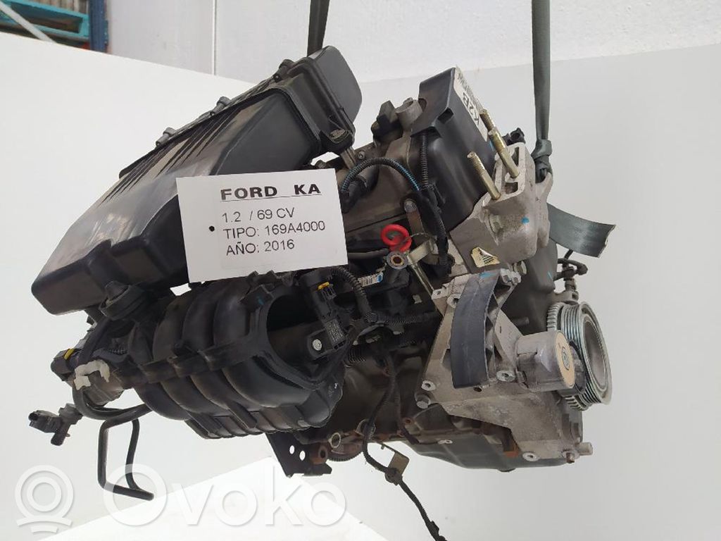 Dzinējs   169A4000