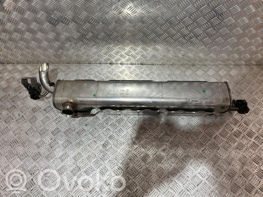 Renault Symbioz Galinė pūslė 