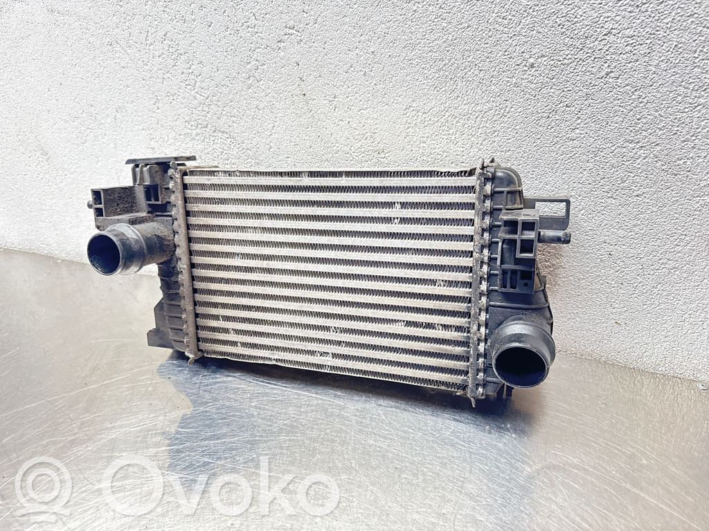 Opel Corsa D Aušinimo skysčio radiatorius 