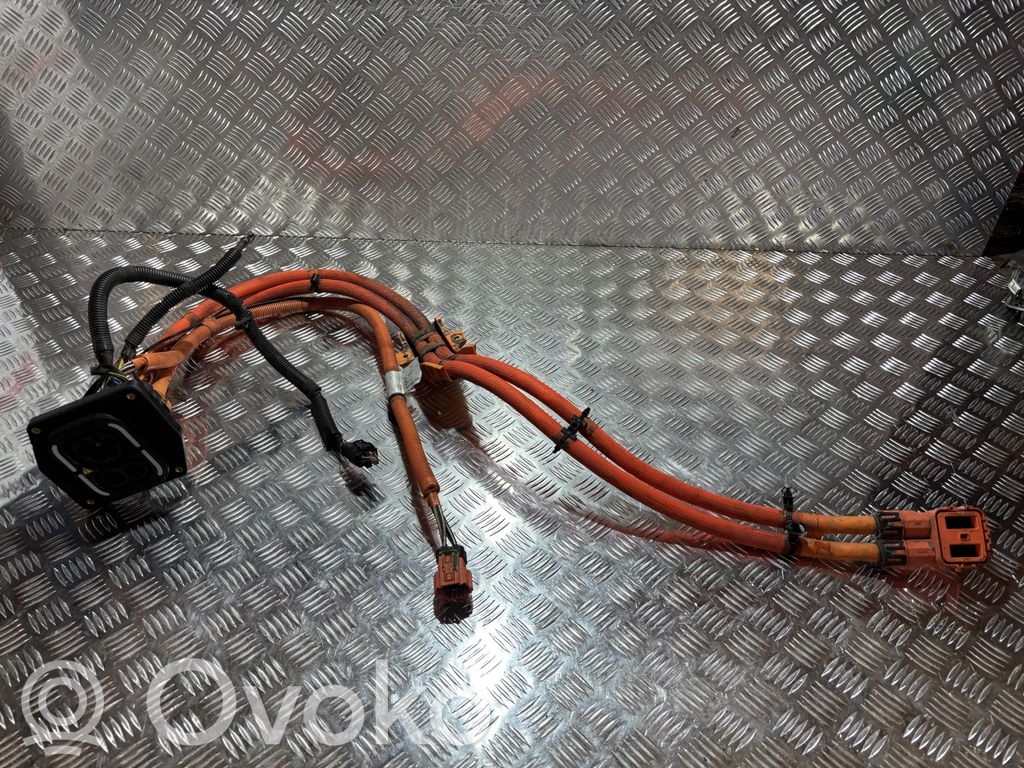 MG MG4 ev Cargador de batería (opcional) 