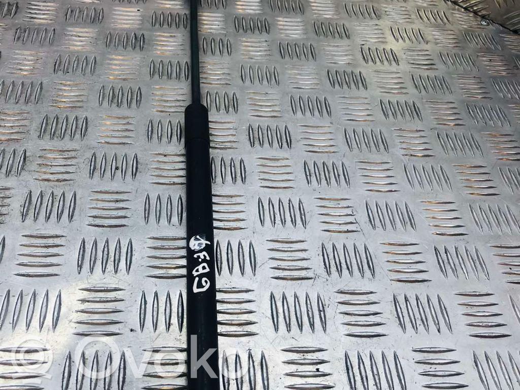 Audi A1 Tailgate/trunk strut/damper 