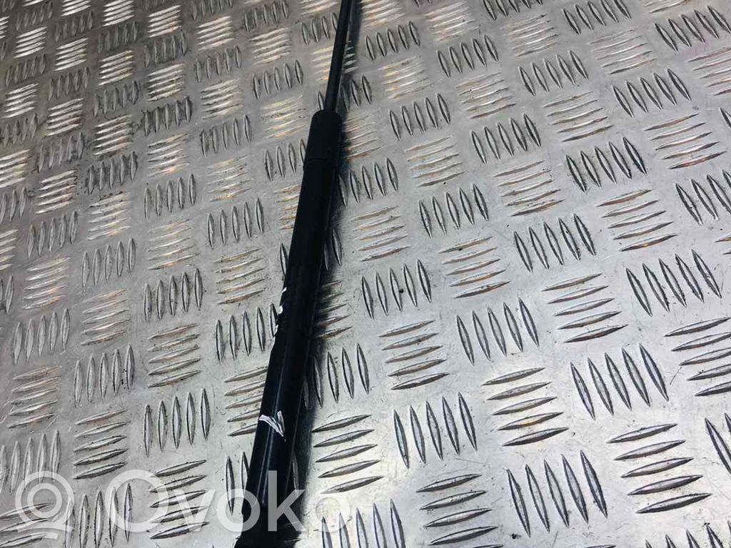 Audi A1 Tailgate/trunk strut/damper 