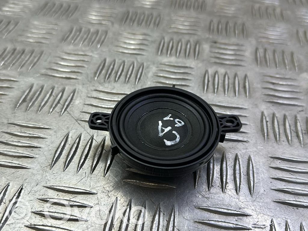 Tesla Model 3 Panel speaker 