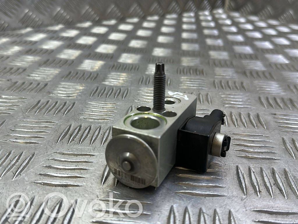 Tesla Model 3 Air conditioning (A/C) expansion valve 