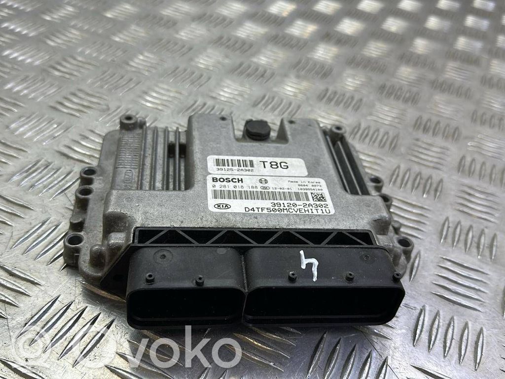 KIA Optima Engine control unit/module 