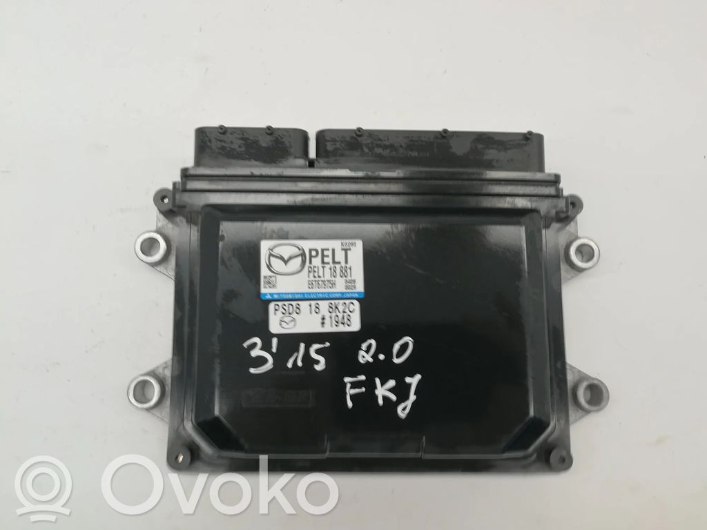 Engine control unit/module   PELT18881