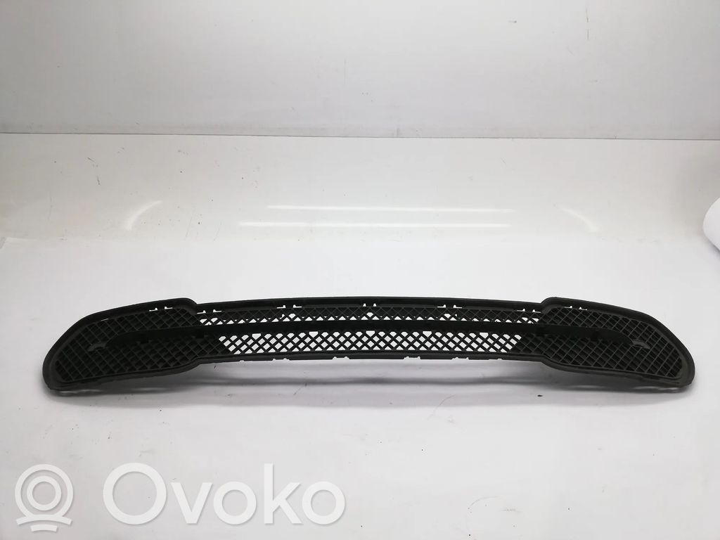 BMW X1 E84 Front grill 