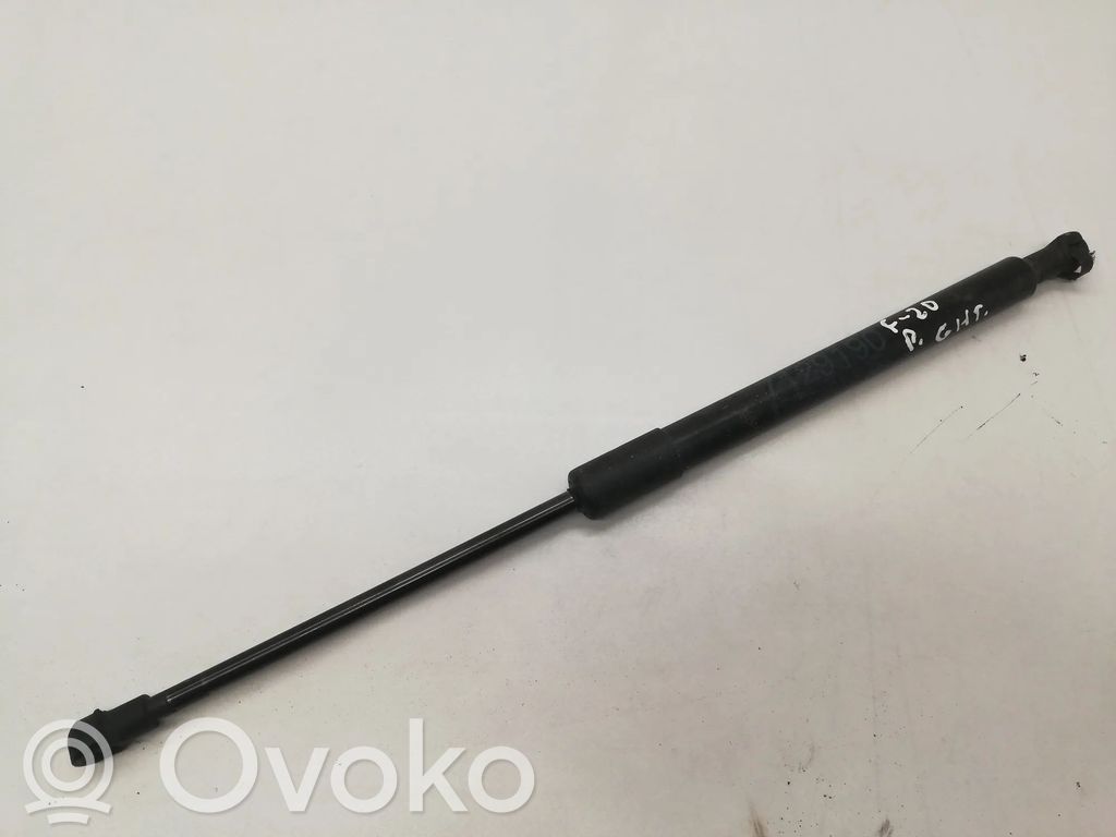 BMW 1 F20 F21 Dzinēja pārsega amortizators 
