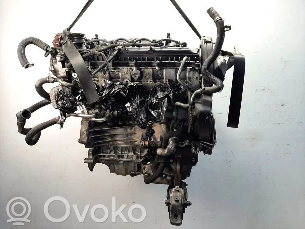 Motor   D5244T,D5244T10