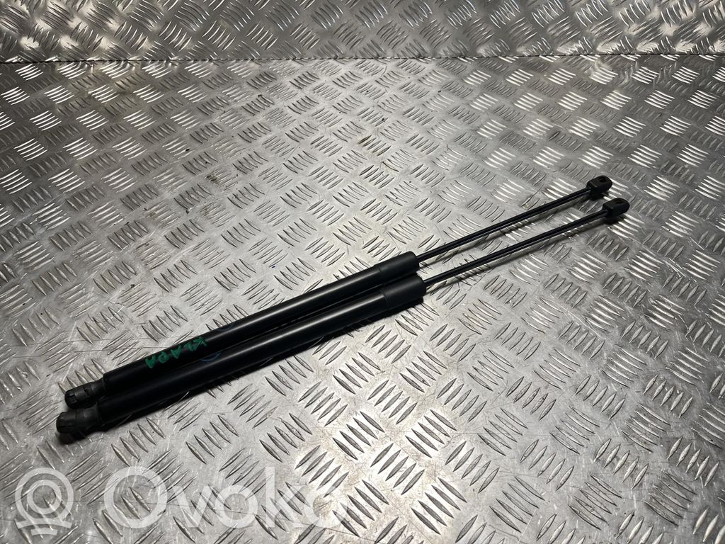 Ford Focus Muelle amortiguador puerta trasera 