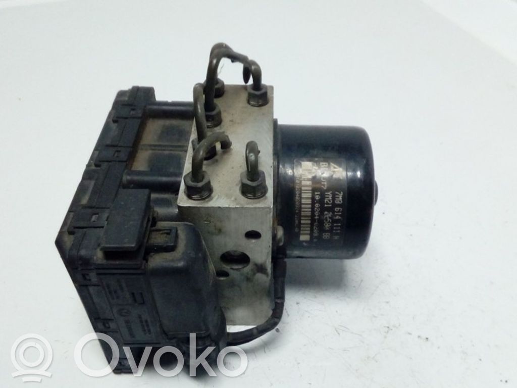 ABS Blokas   1J0907379P,7M3614111H